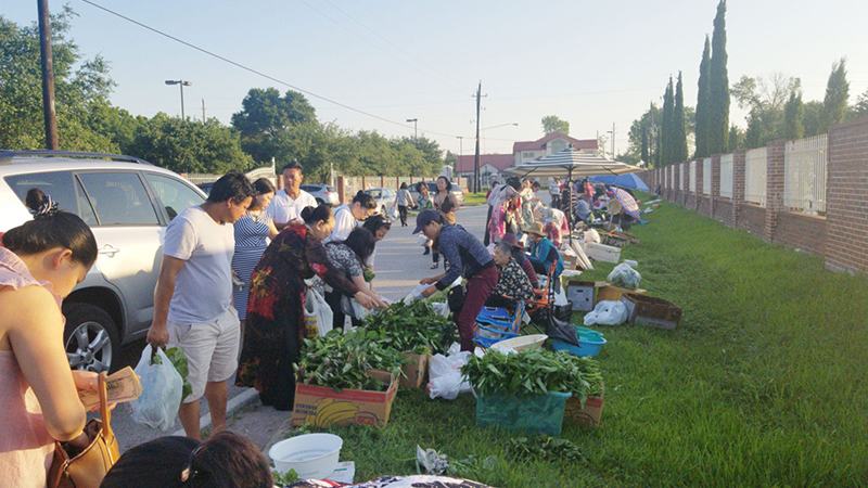 Chợ “chồm hổm” mỗi sáng Chủ Nhật kiểu Việt Nam ở Houston