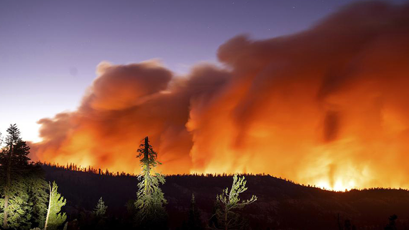 Dân California ồ ạt sơ tán do cháy rừng, ôtô chôn chân trên quốc lộ