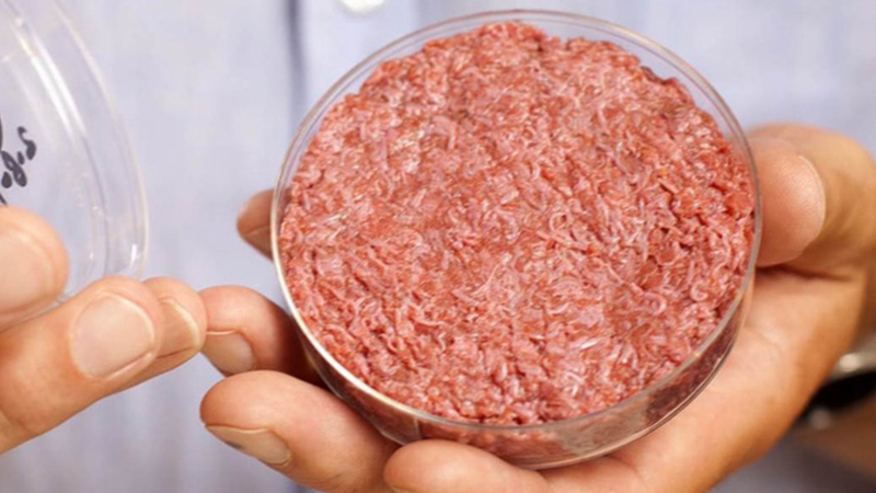 Một công ty Mỹ đã sản xuất thịt từ không khí