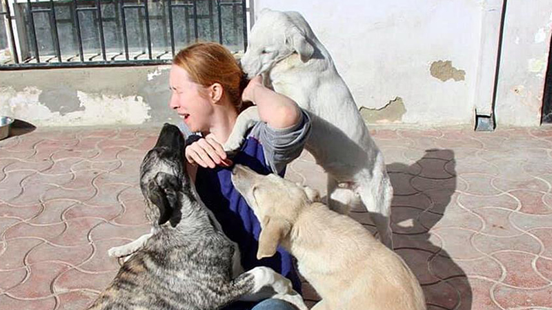 Người phụ nữ Mỹ kiên quyết không rời Afghanistan vì không được mang theo chó mèo